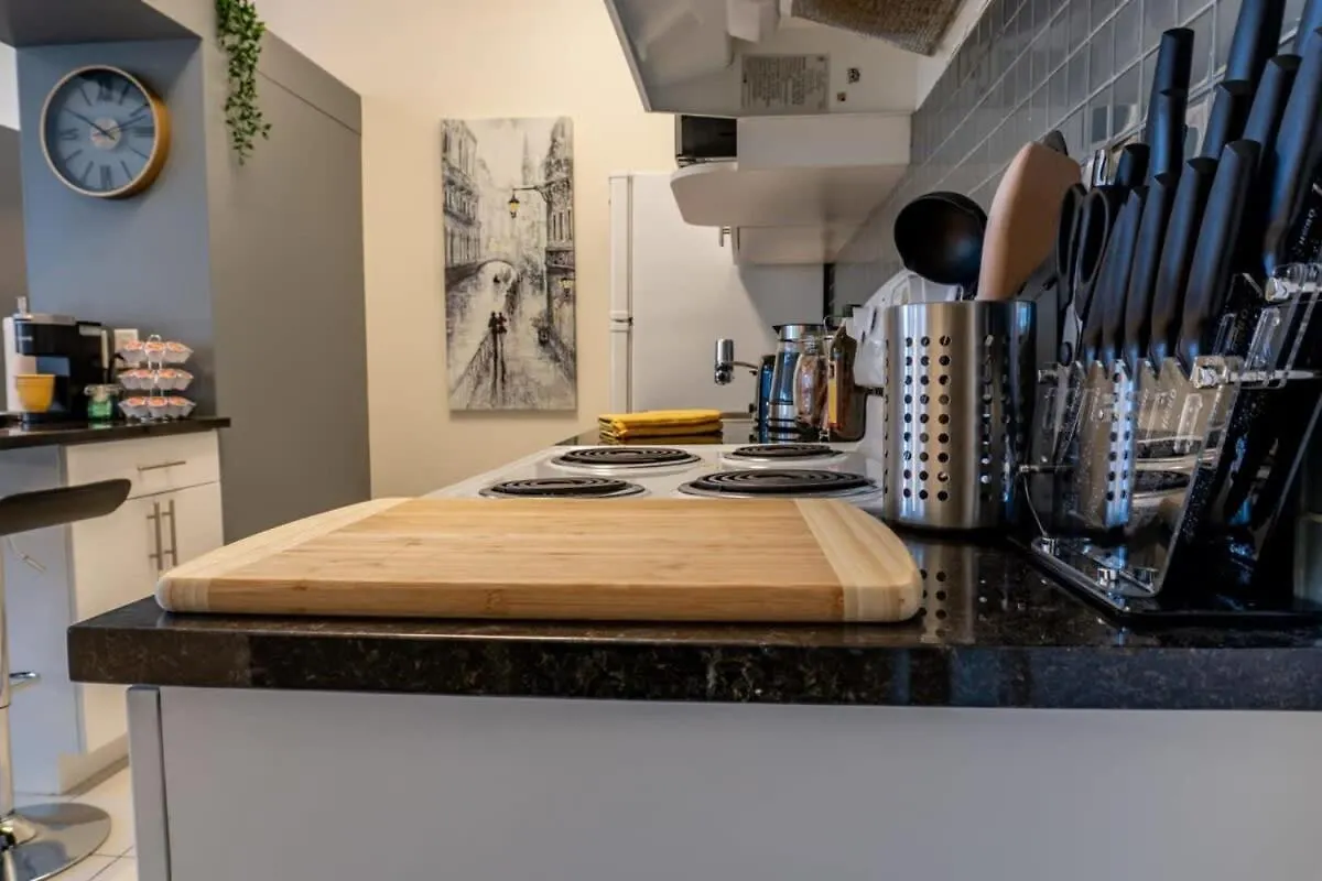 New Listing Luxurious Downtown Loft Heated Parking Rooftop Patio Bbq Gym Coffee Winnipeg
